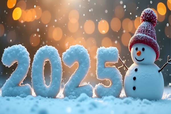 С Новым 2025 годом!